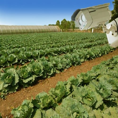 Security Cameras Agriculture