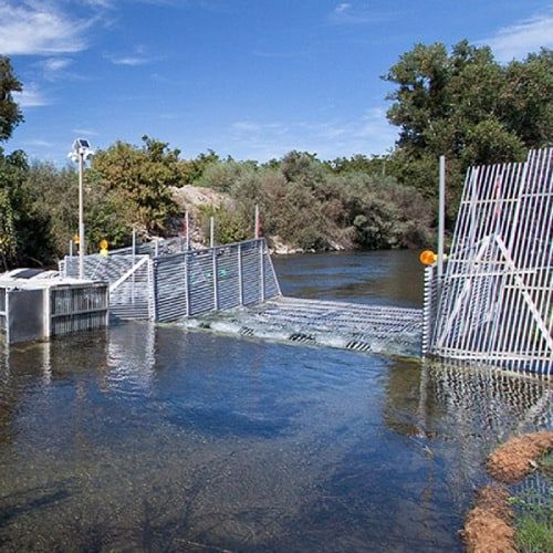 Fish Monitoring
